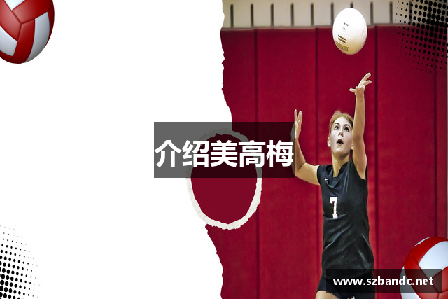 介绍美高梅